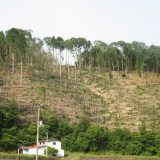 山景色