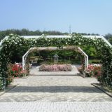バラ園