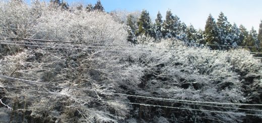 積雪