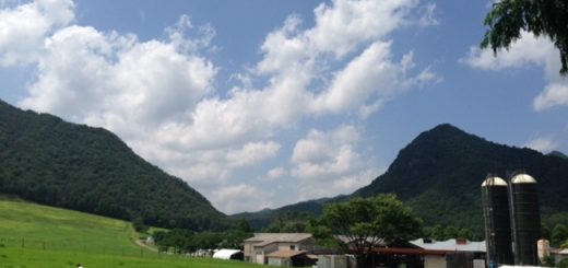 船方牧場