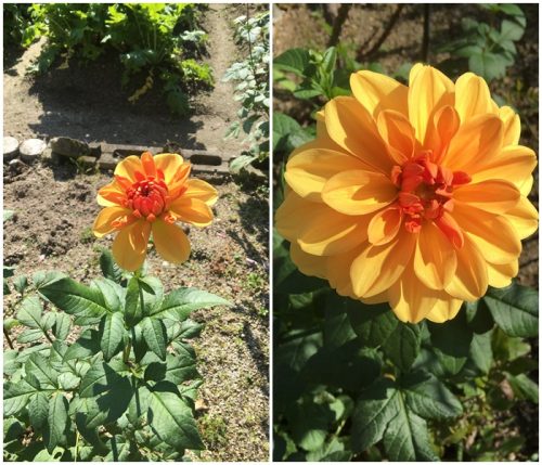 %e3%83%80%e3%83%aa%e3%82%a2