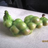 こぶしの実