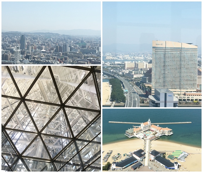 タワー展望より