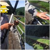 太公望