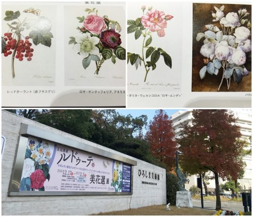 %e5%b1%95%e3%83%ab%e3%83%89%e3%82%a5%e3%83%bc%e3%83%86%e7%be%8e%e8%8a%b1