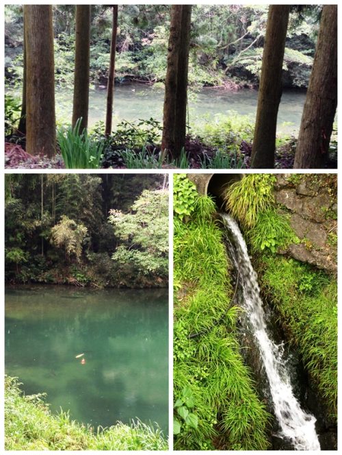 水辺のほとりで