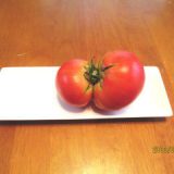 ふたつくっついてるトマト