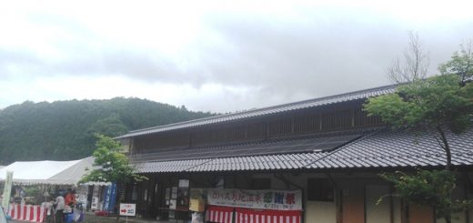 ロハス島地
