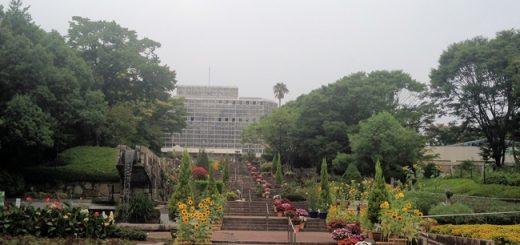 植物公園