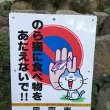 看板