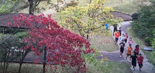 未来のｱｽﾘｰﾄ達