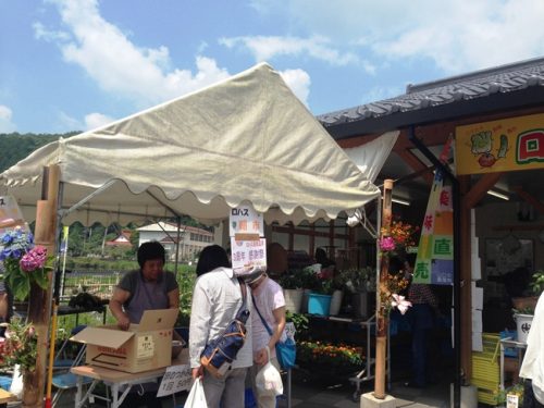 ロハス島地温泉2