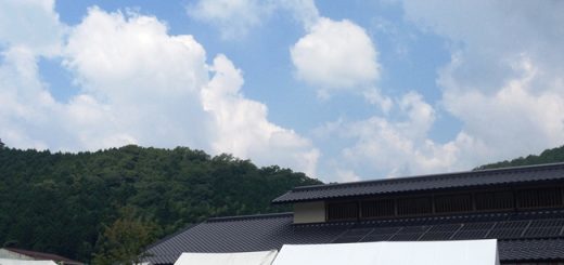 ロハス島地温泉