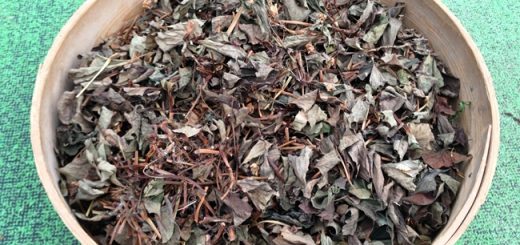 どくだみ茶