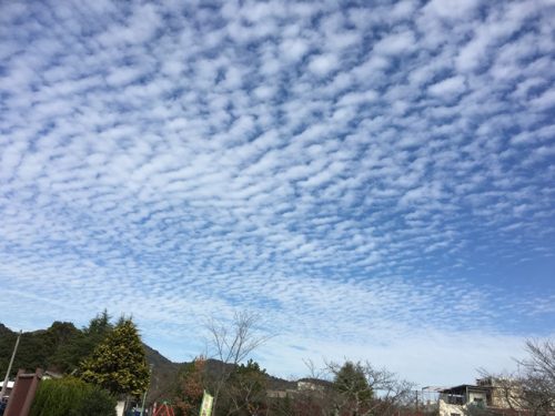 ひつじ雲