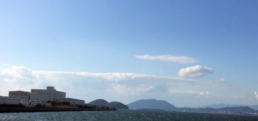 海