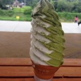 二色ソフト