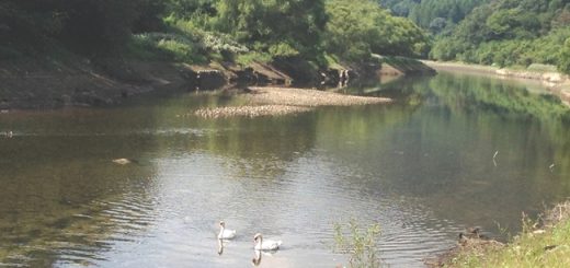 大原湖
