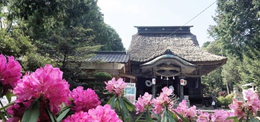 宇佐八幡宮