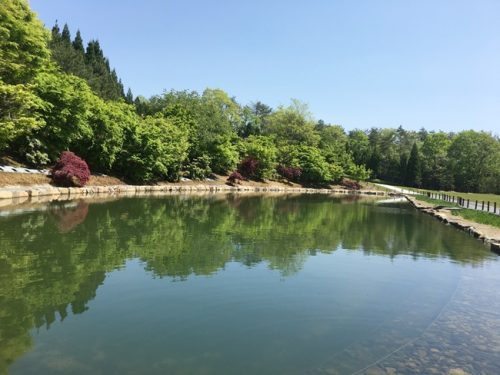 庭園内の湖