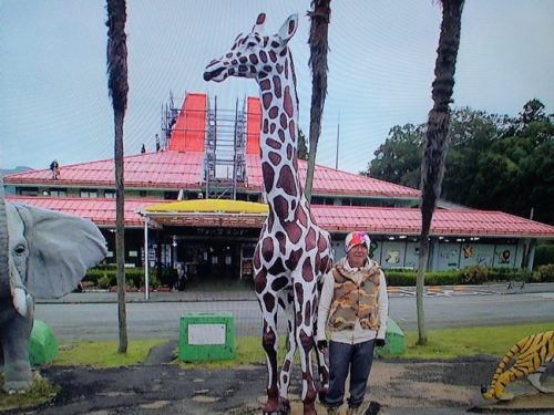 サファリーランド