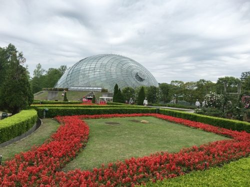 とっとり花回廊2