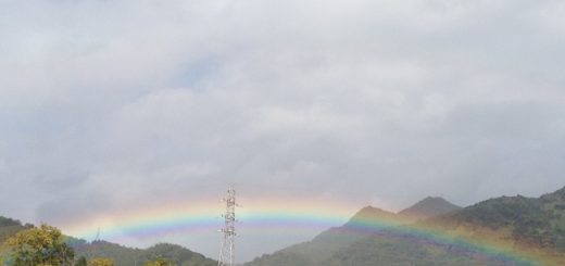 今朝の虹