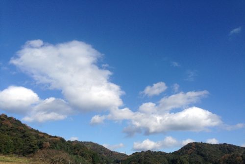 木枯らしの青空