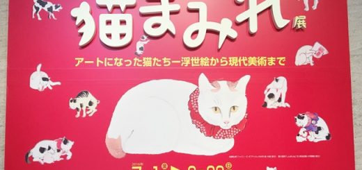 猫まみれ