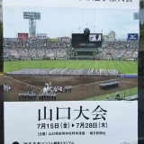 夏の高校野球山口大会