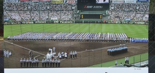 夏の高校野球山口大会