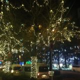 イルミルーション