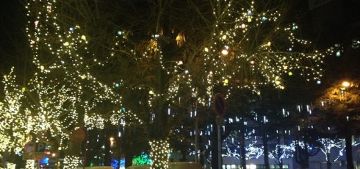 イルミルーション