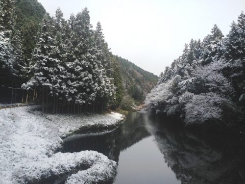 雪景色