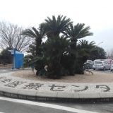 医療センターへ