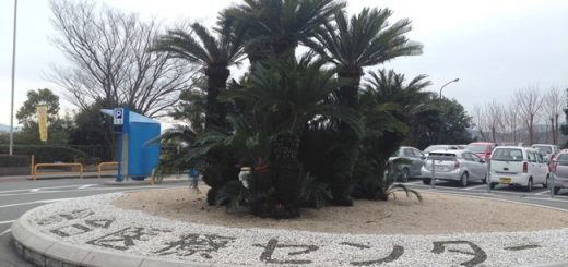 医療センターへ