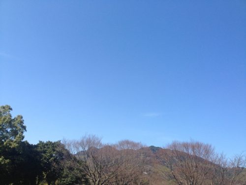 公園の青空