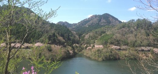 絶景ﾎﾟイントで