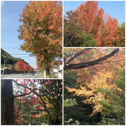 %e4%ba%80%e5%b1%b1%e5%85%ac%e5%9c%92