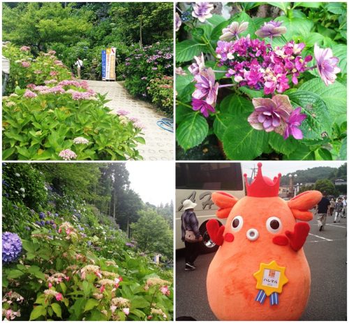 あじさい園