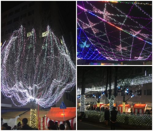 %ef%bd%b2%ef%be%99%ef%be%90%ef%be%88%ef%bd%b0%ef%bd%bc%ef%bd%ae%ef%be%9d