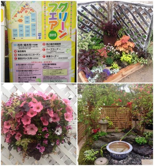 ア春のグリーンフエ