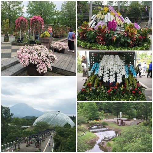 とっとり花回廊1