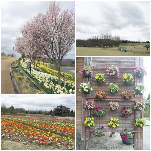 備北丘陵公園
