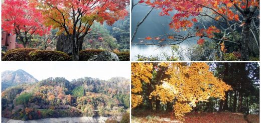 高瀬湖の紅葉