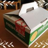 美味しいタマゴ