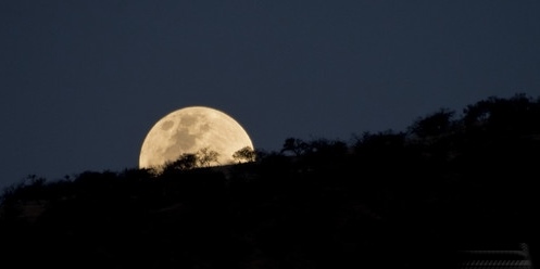 img_d5ee8bdd6da73cd8e08dec8220a371ac42851