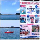 いか祭り